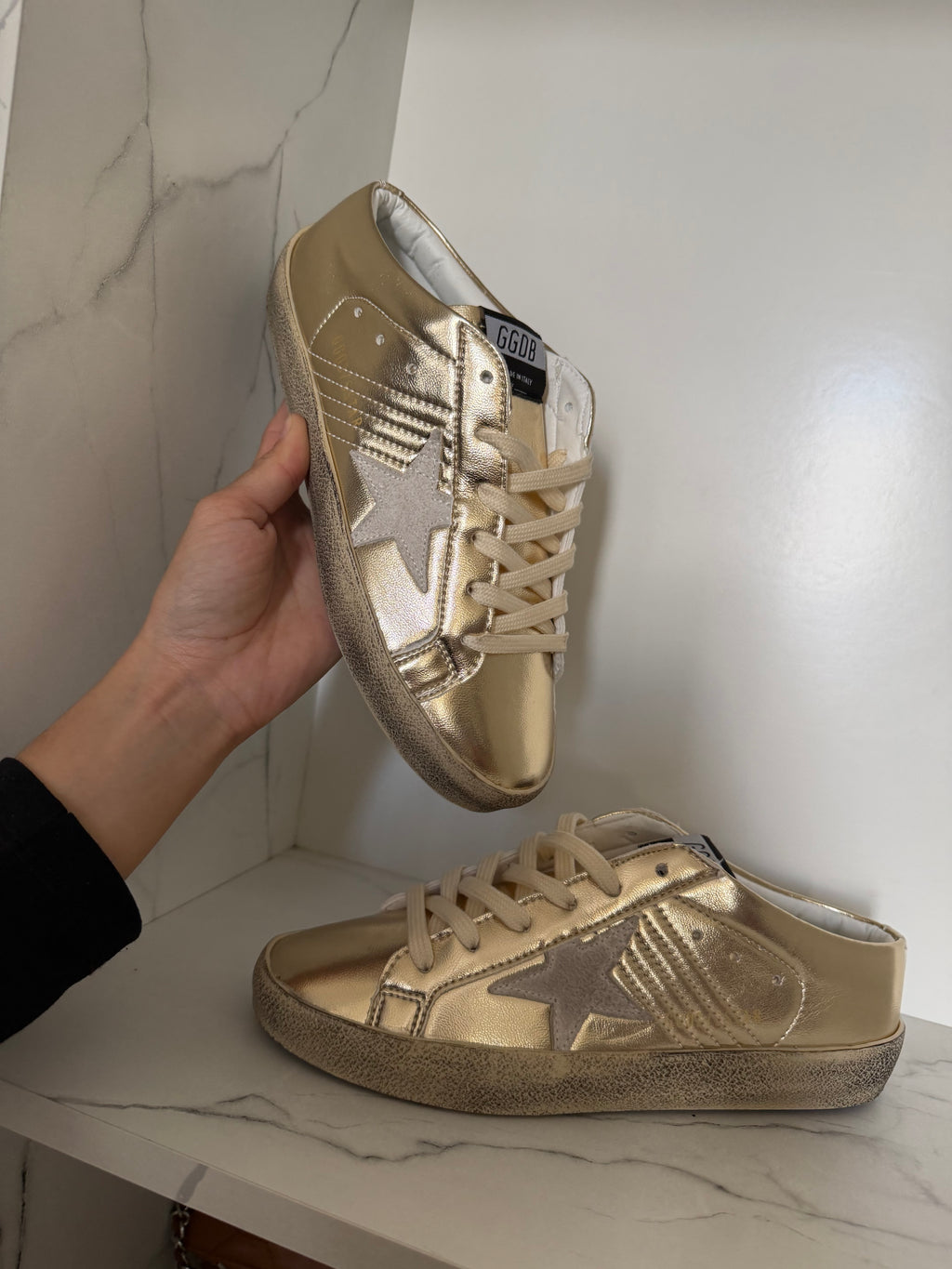 Golden goose dorado