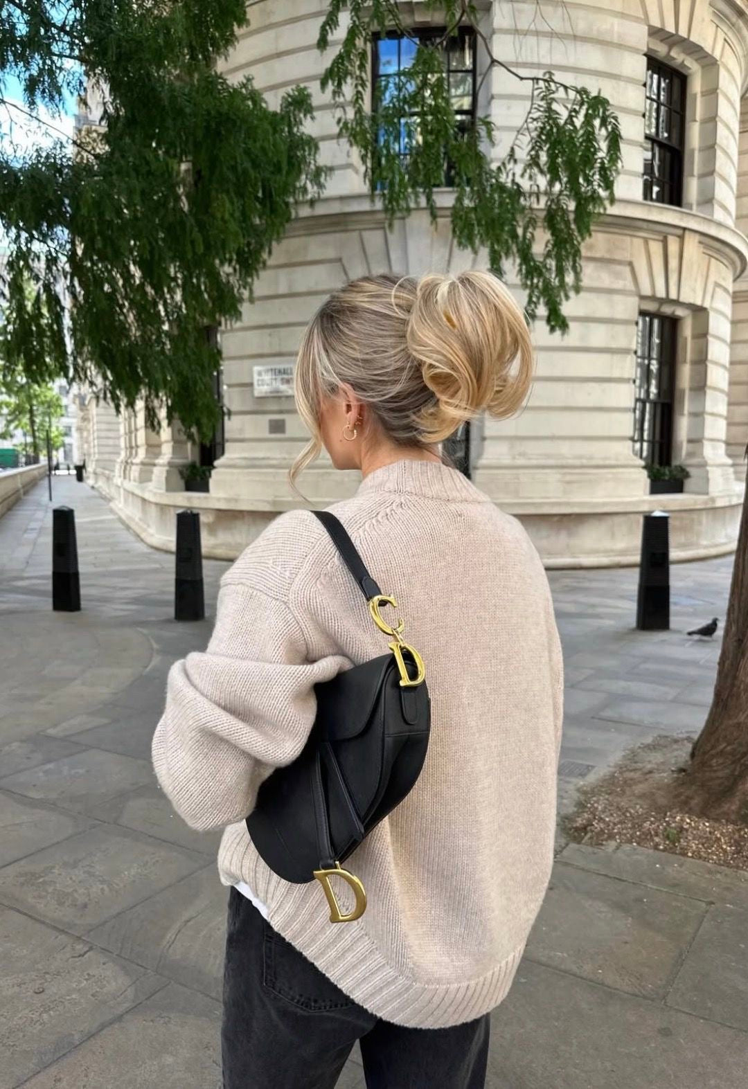 Bolsa Dior